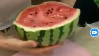 抖音短影片流出,吃西瓜不小心把奶露出了!